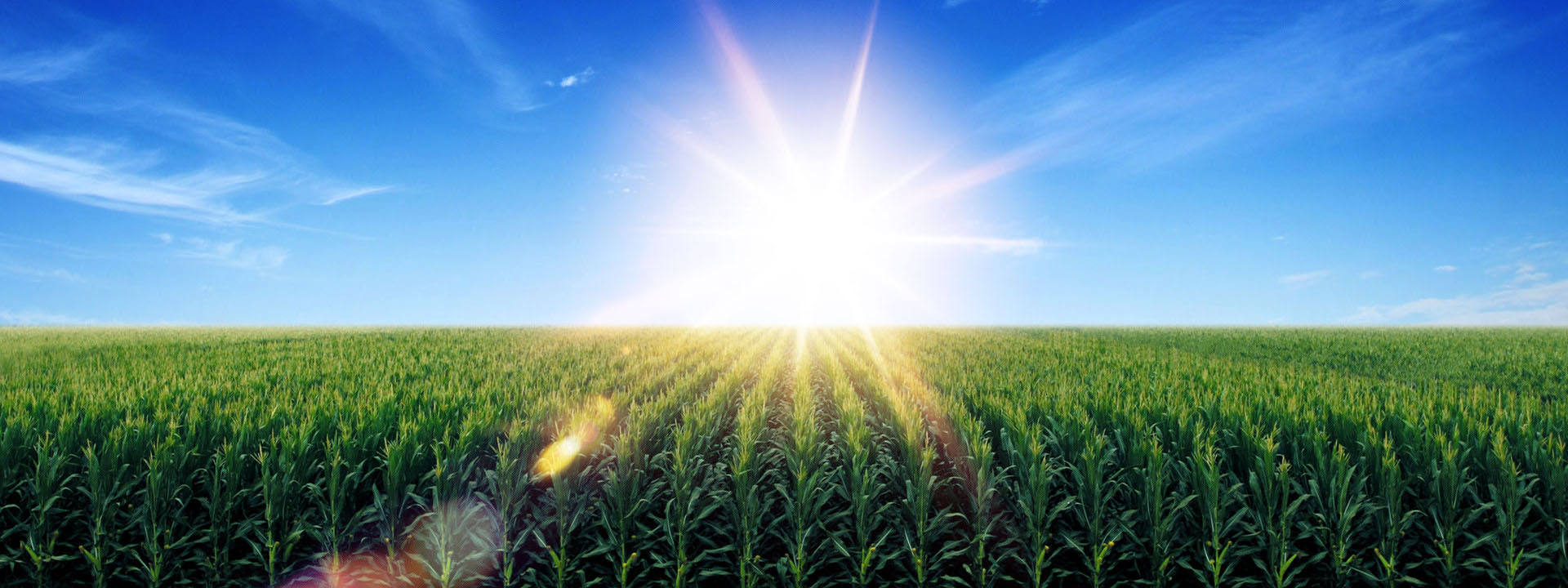 壹号pg娱乐电子游戏-壹号电子娱乐app下载